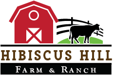 Hibiscus Hill Farm & Ranch